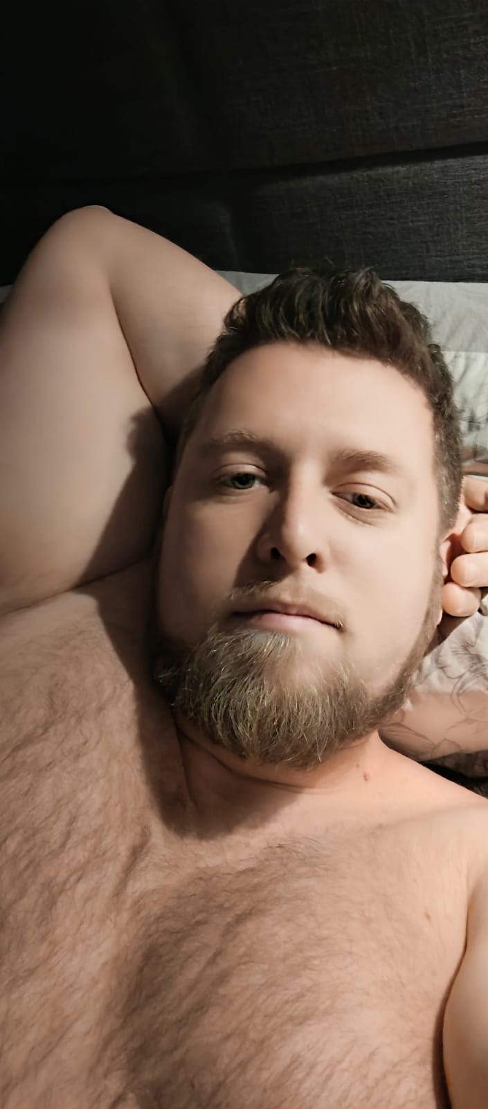 Perfil de Lazhar, 37 años, escort trans en Benilloba