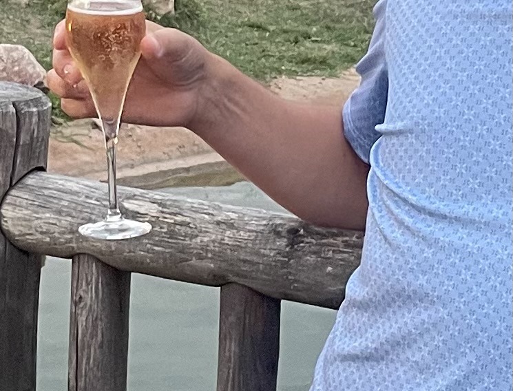 Perfil de Yasser, 48 años, escort trans en Albaida